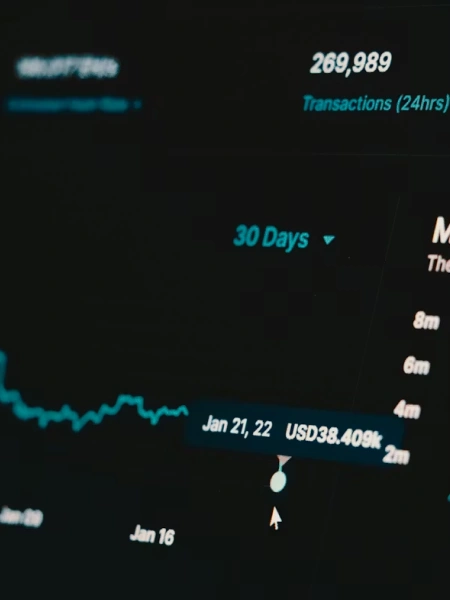 Treasury Management and Cash Flow Optimisation